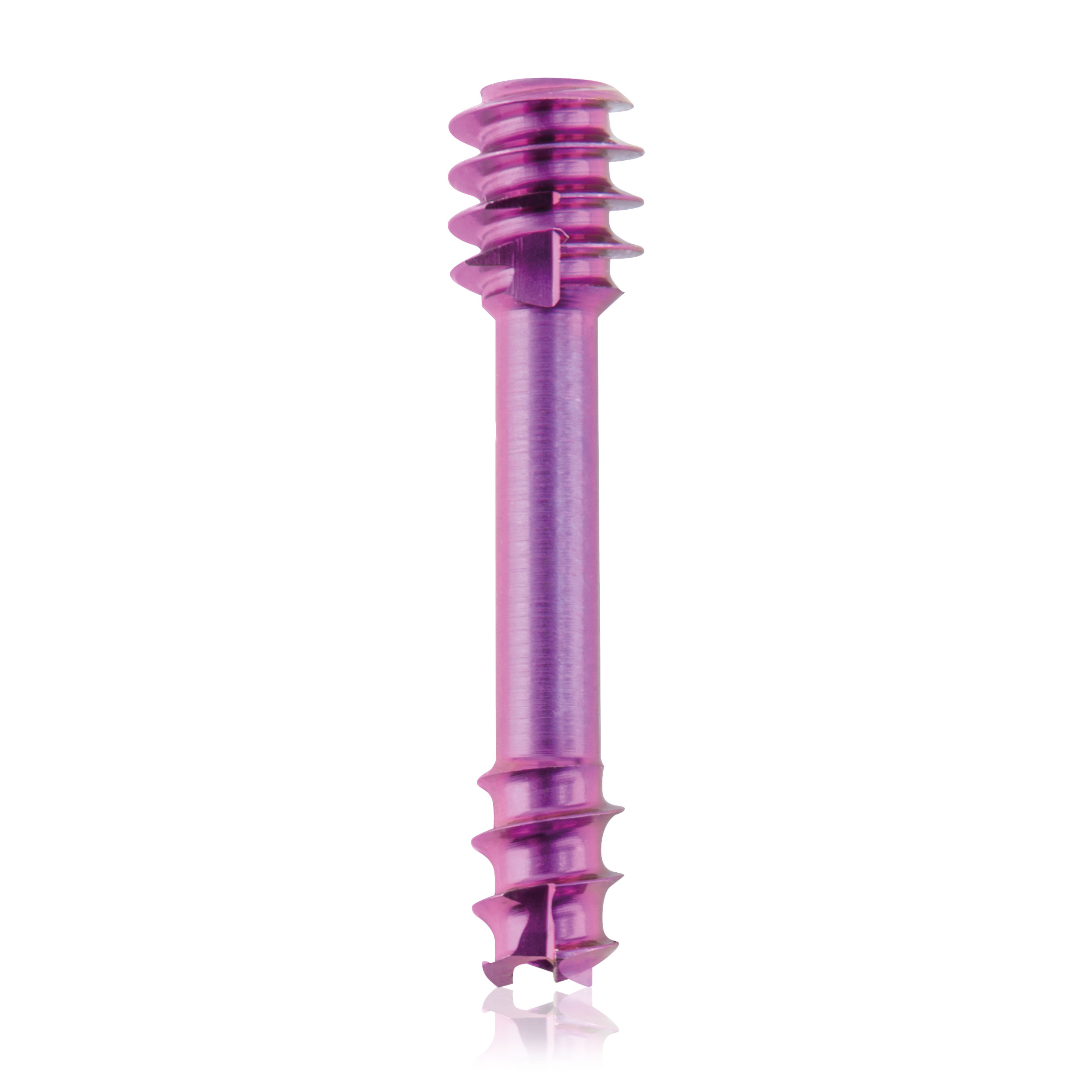 L = 14mm